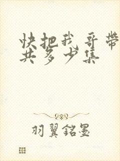 快把我哥带走一共多少集
