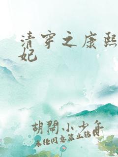 清穿之康熙太子妃