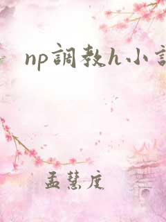 np调教h小说