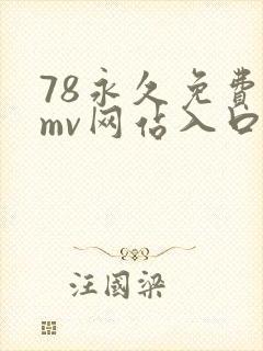 78永久免费看mv网站入口