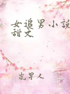 女追男小说推荐甜文