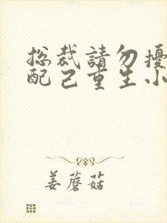 总裁请勿扰,原配己重生小说