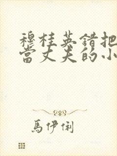 穆桂英错把儿子当丈夫的小说