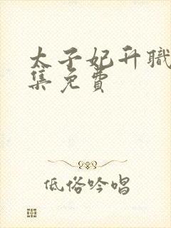 太子妃升职记全集免费
