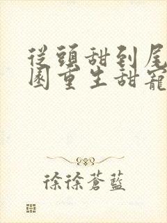 从头甜到尾的校园重生甜宠文