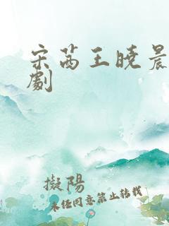 宋茜王晓晨电视剧