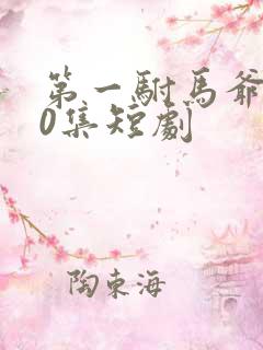 第一驸马爷100集短剧