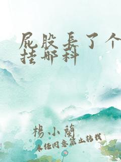 屁股长了个硬包挂哪科