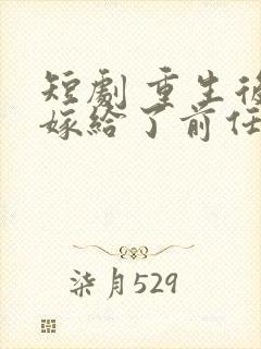 短剧 重生后我嫁给了前任他叔