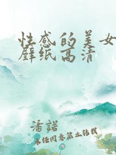 性感的美女图片壁纸高清