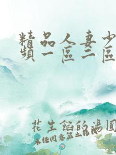 精品人妻少妇视频一区二区