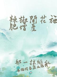 辣椒开花施什么肥增产