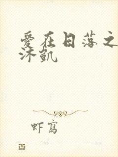 爱在日落之前王沐凯