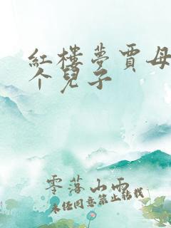 红楼梦贾母有几个儿子