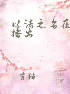 以法之名在哪里播出