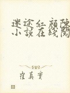 迷途红颜陈梦洁小说在线阅读