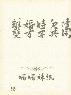 离婚时欠债夫妻双方要共同承担吗