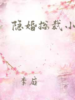 隐婚总裁小说