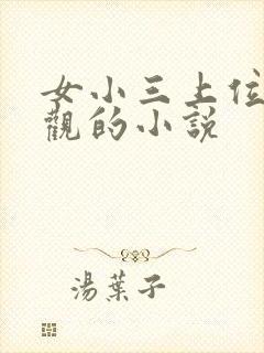 女小三上位无三观的小说