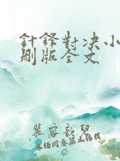 针锋对决小说未删版全文