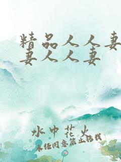 精品人人妻人人妻人人妻