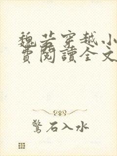 魏若穿越小说免费阅读全文无弹窗