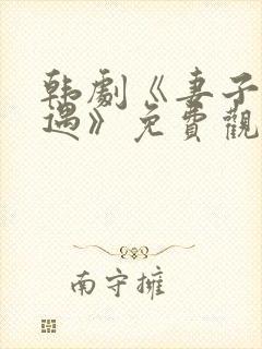 韩剧《妻子的外遇》免费观看中文版