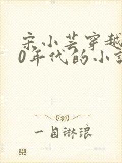 宋小芸穿越到70年代的小说