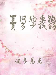 买网约车跑滴滴买多少钱的