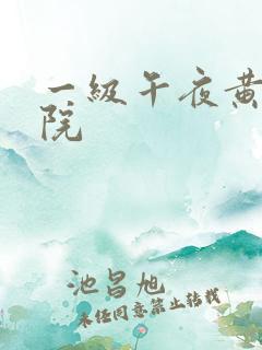 一级午夜黄色影院