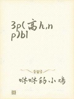3p(高h,np)bl