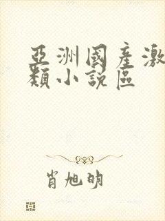 亚洲国产激情另类小说区