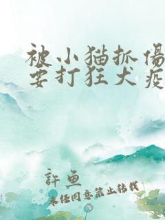 被小猫抓伤了需要打狂犬疫苗吗