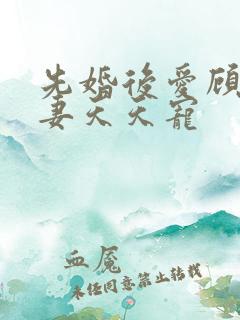 先婚后爱顾少娇妻天天宠