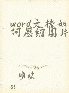 word文档如何压缩图片大小