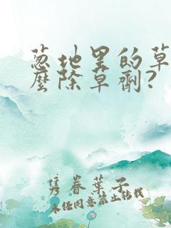 葱地里的草用什么除草剂?