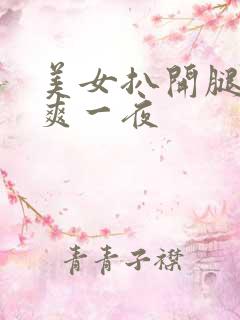 美女扒开腿让我爽一夜