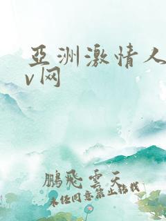 亚洲激情人妻av网