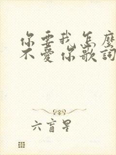 你要我怎么说我不爱你歌词