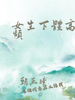 女生下体高清视频