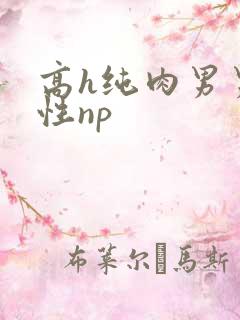 高h纯肉男男双性np