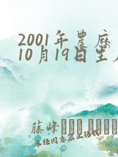2001年农历10月19日生辰八字