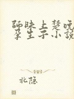 师昧上楚晚宁怀孕生子小说结局