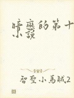 暗恋的第十一年小说