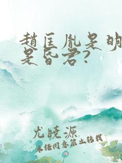 赵匡胤是明君还是昏君?