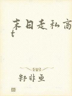 末日走私商txt