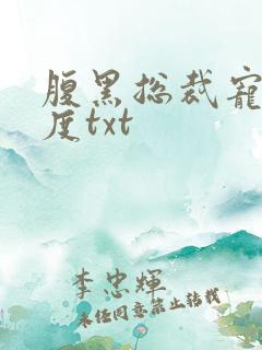 腹黑总裁宠妻无度txt