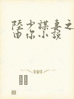 陆少谋妻之婚不由你小说