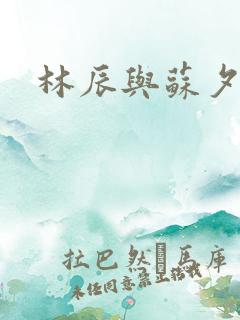 林辰与苏夕然
