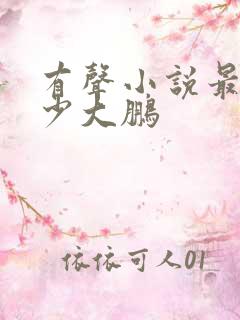 有声小说最强弃少大鹏